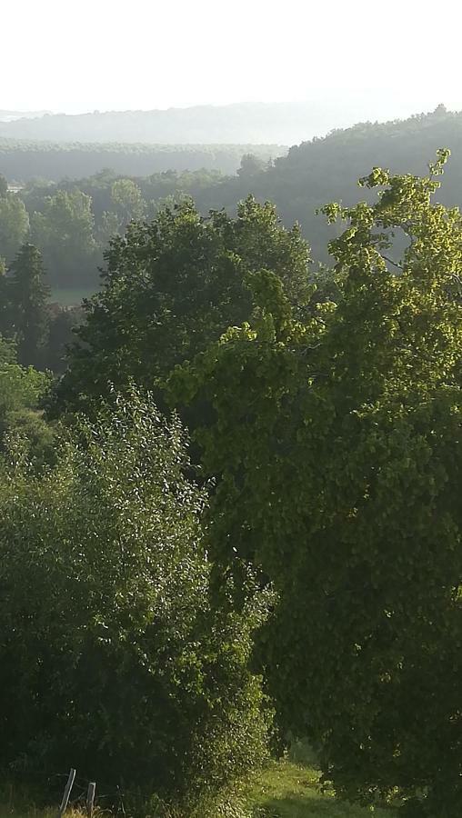 Gites Du Chene Vert 몽티냑 외부 사진